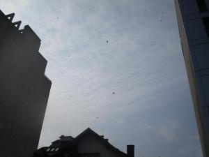 Random balloons - Sofia