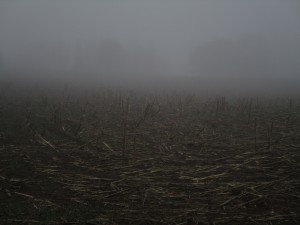 Hiking in Sweden